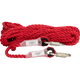 2900