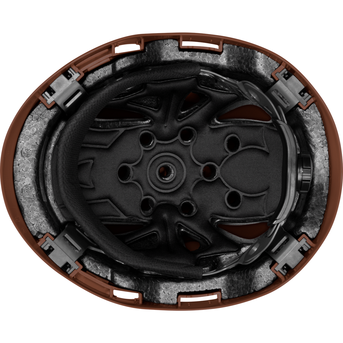 3975-BR | Raptor