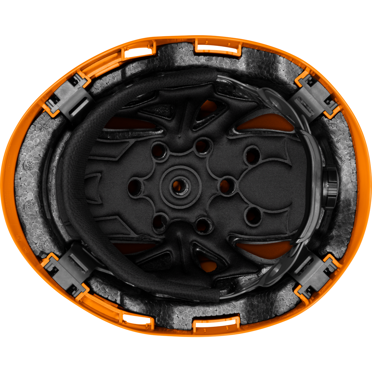 3975-HO | Raptor