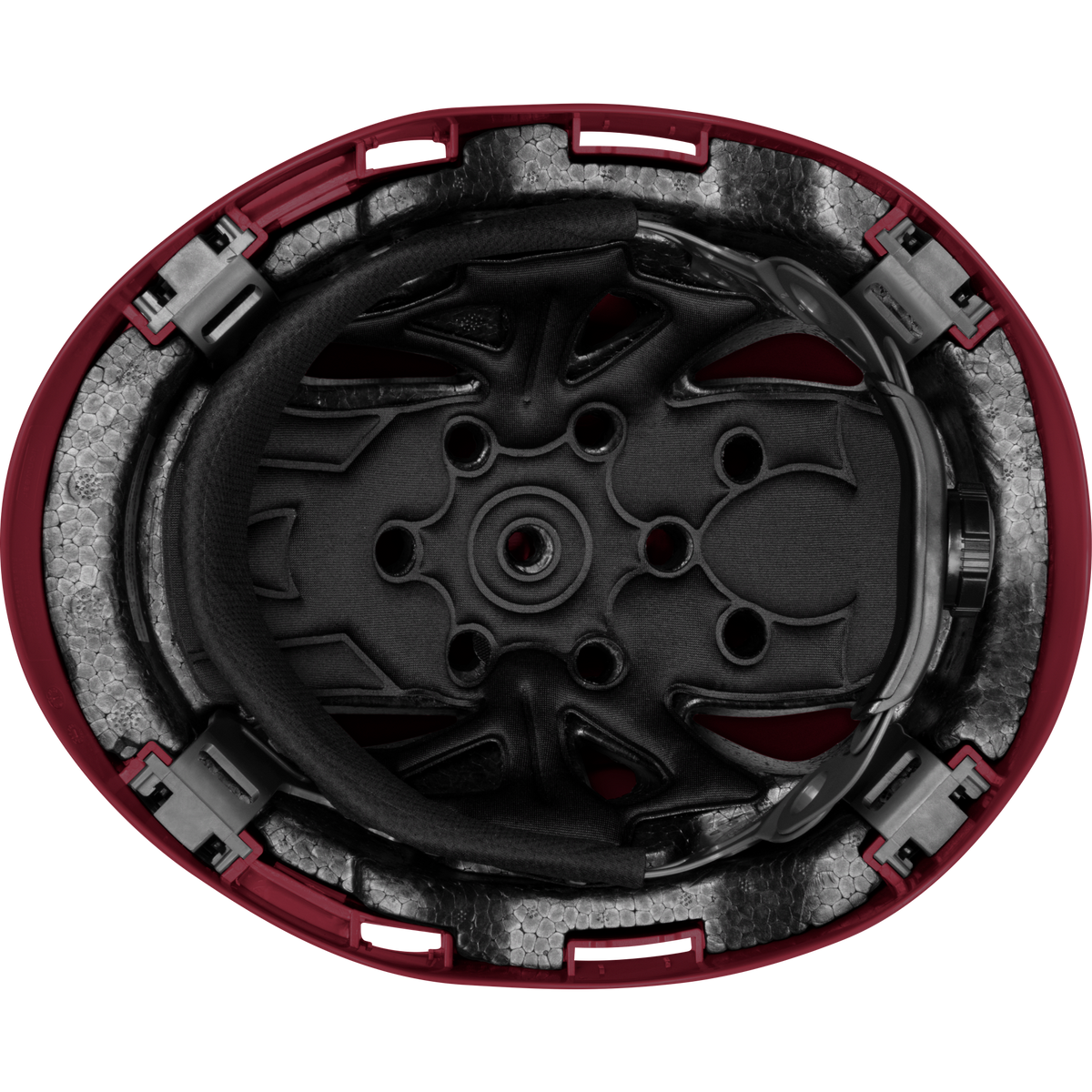 3975-M | Raptor