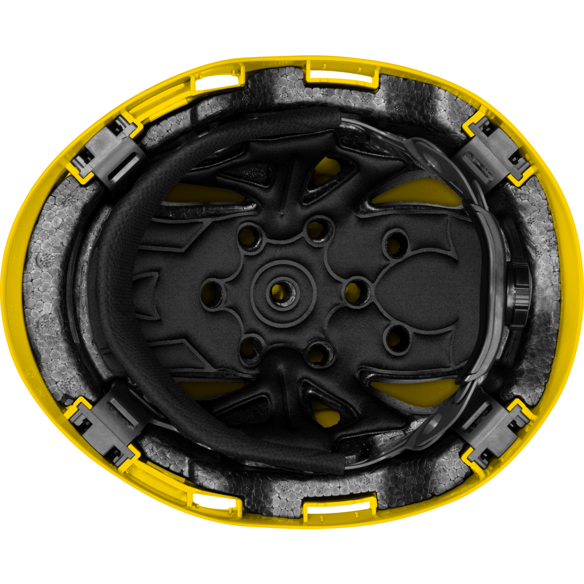 3975-Y | Raptor