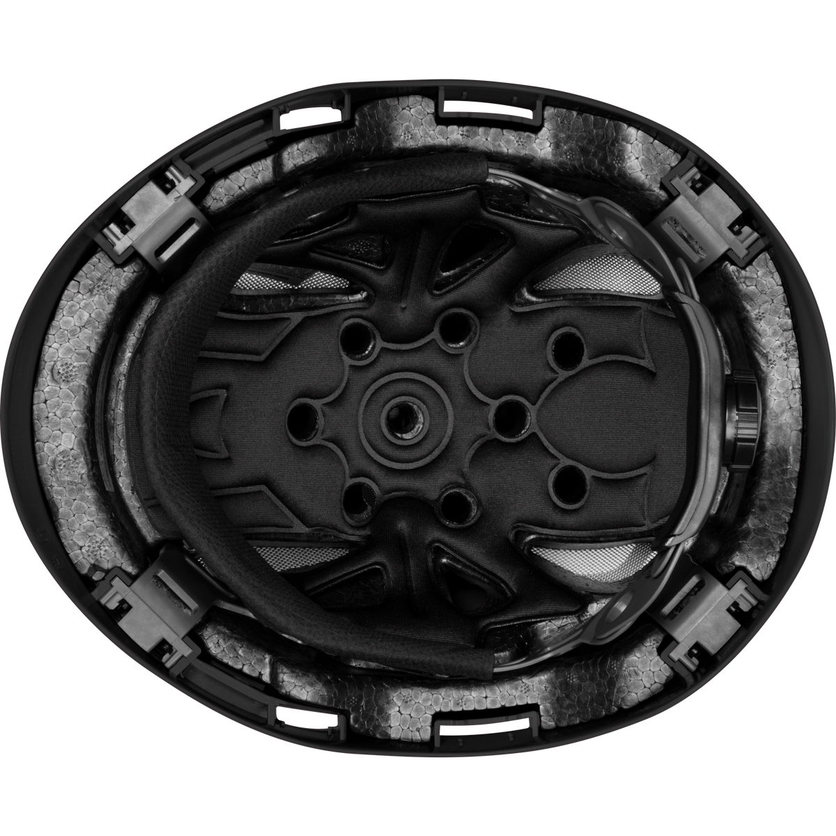 3976-BL | Raptor