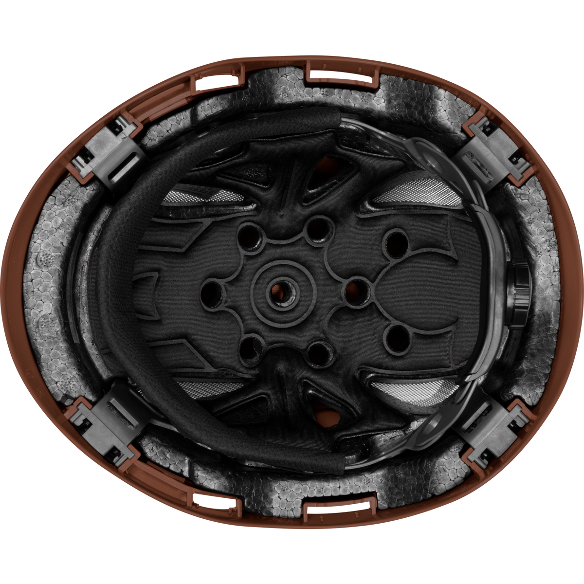 3976-BR | Raptor