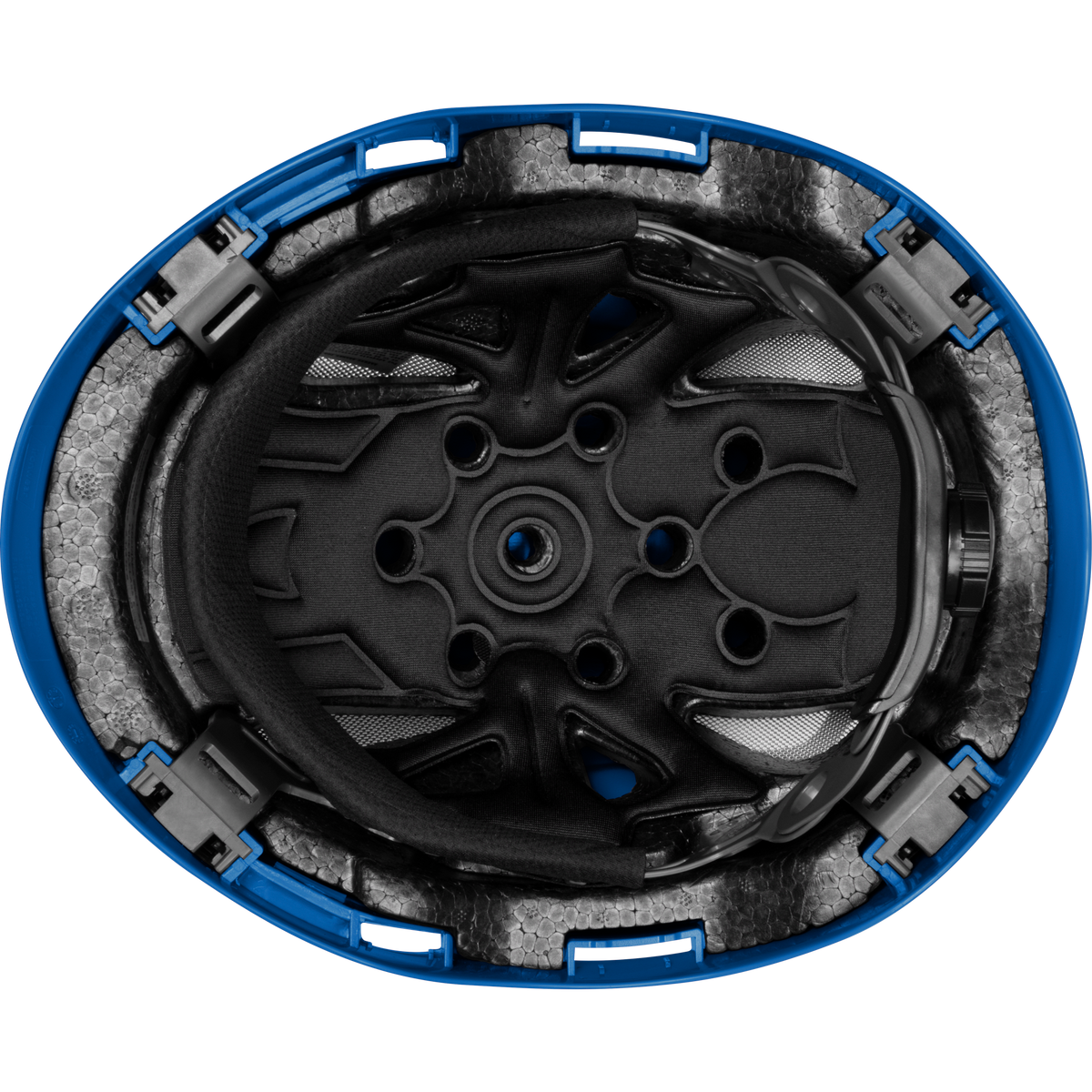 3976-B | Raptor