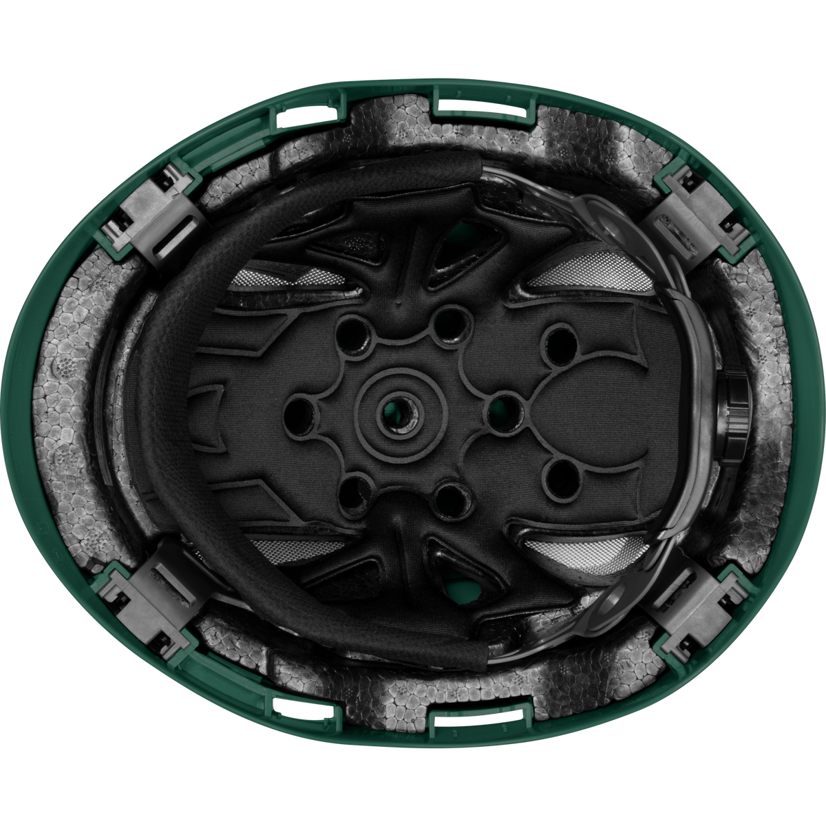 3976-DG | Raptor