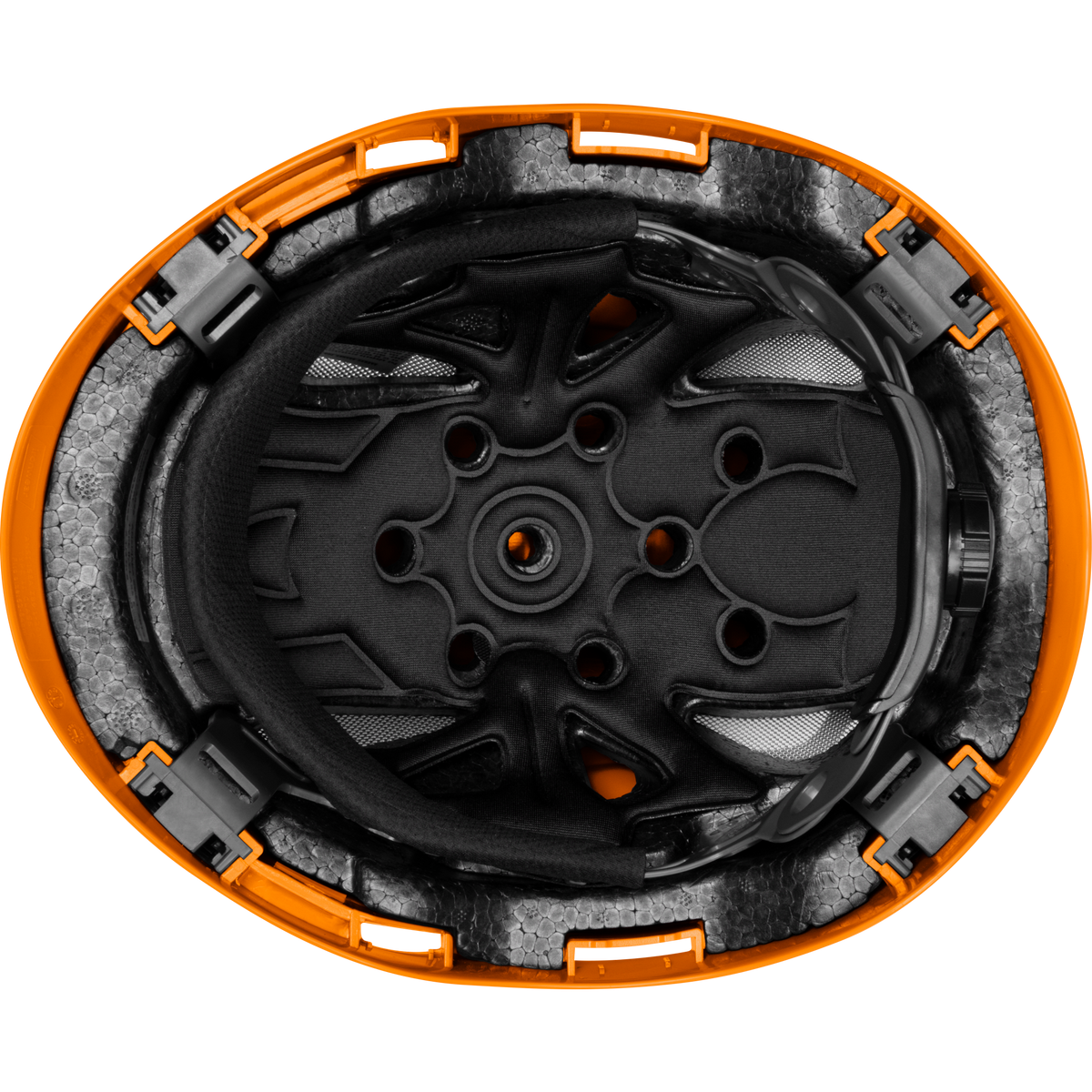 3976-HO | Raptor