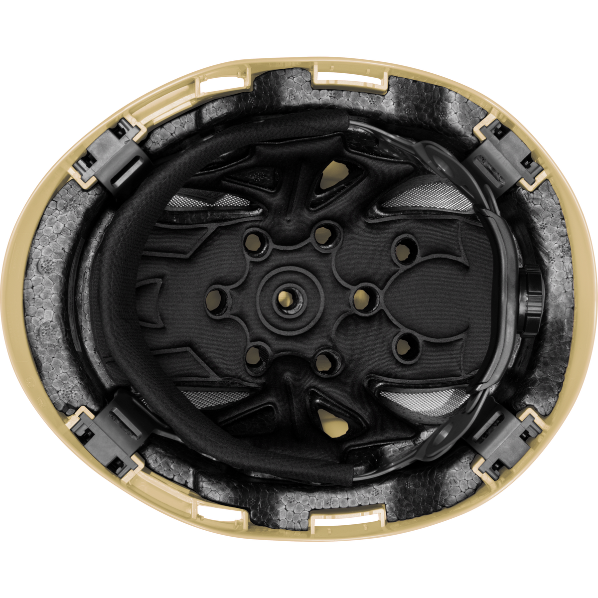 3976-LBU | Raptor