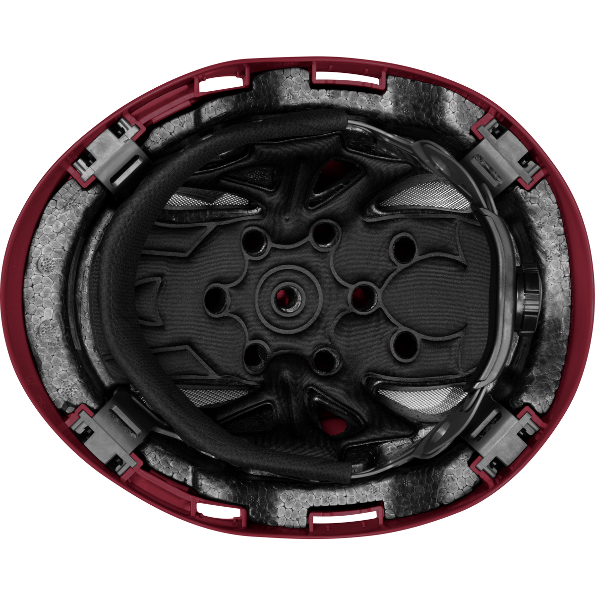 3976-M | Raptor