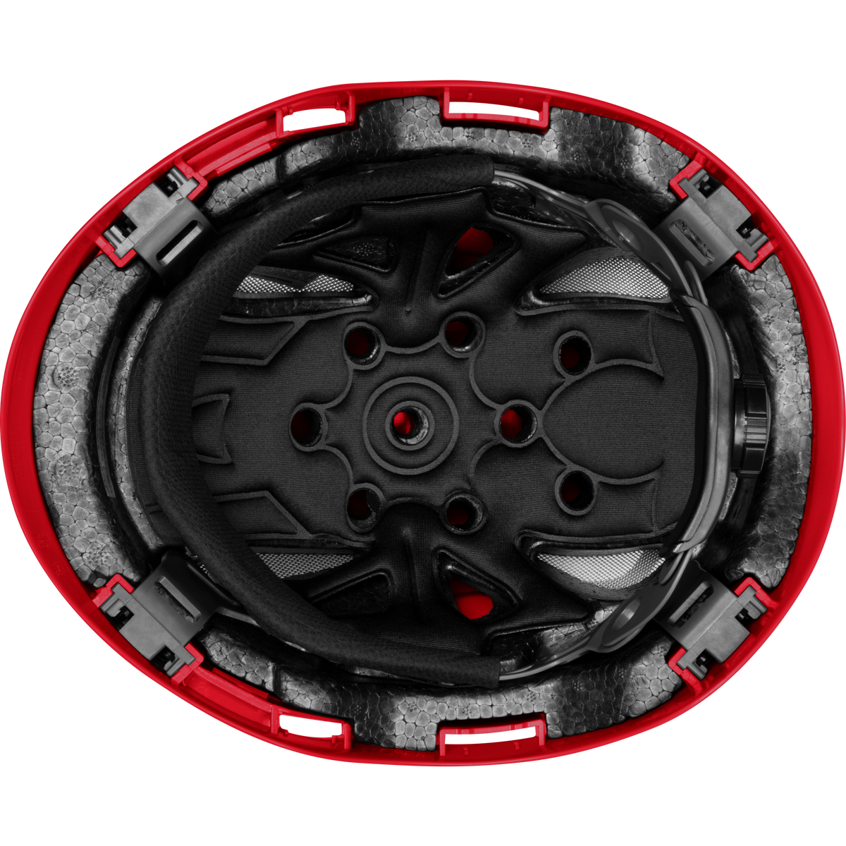 3976-R | Raptor