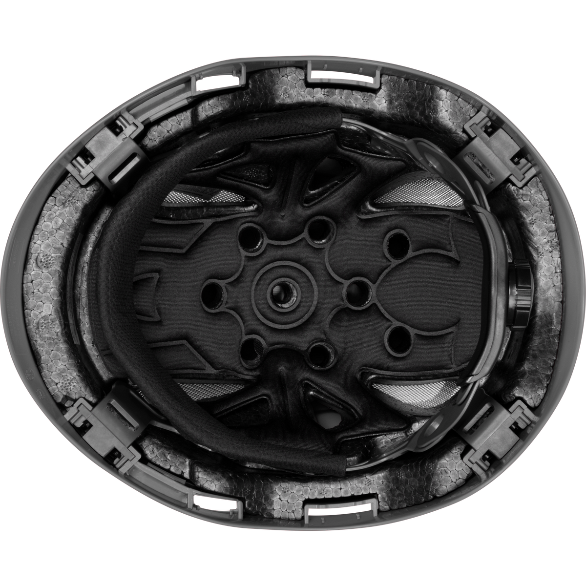 3976-S | Raptor