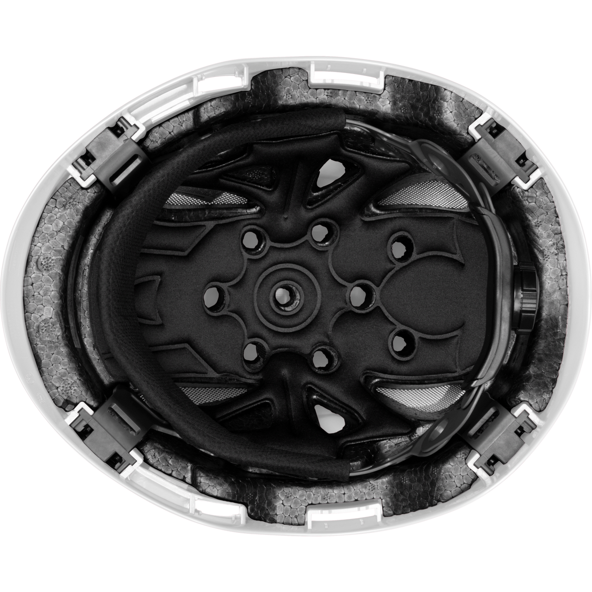 3976-W | Raptor