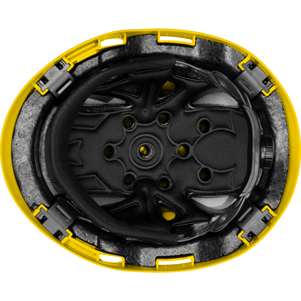 3976-Y | Raptor