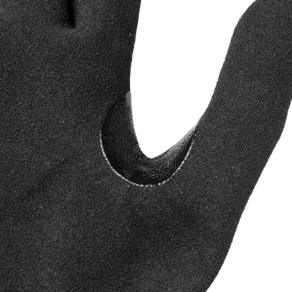 4482 | Apollo
