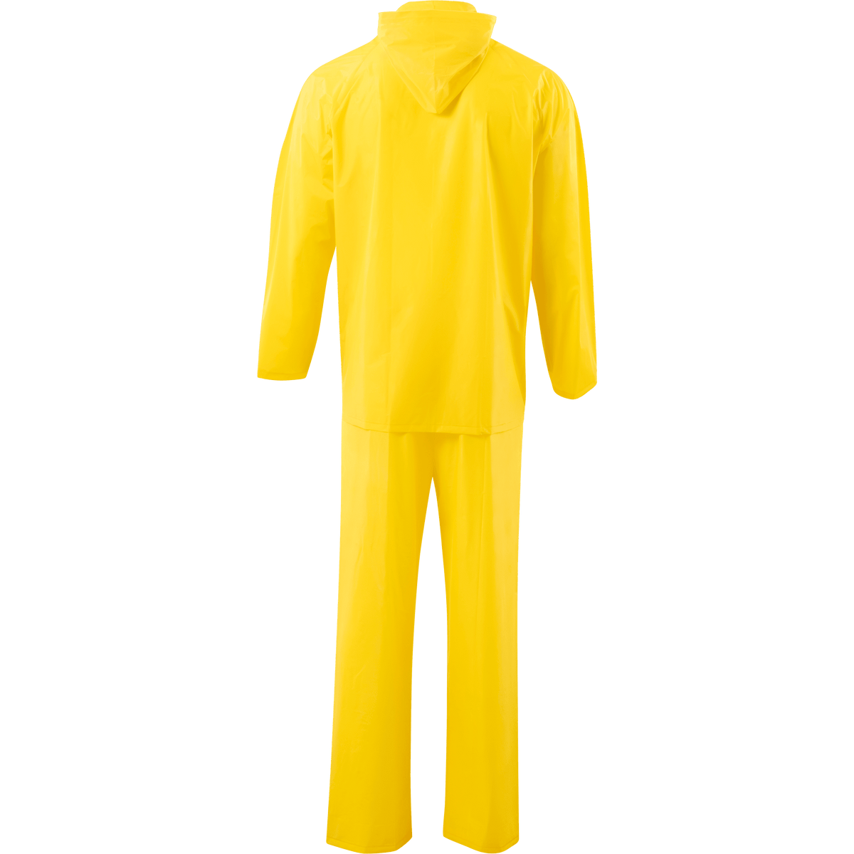 8234-Y