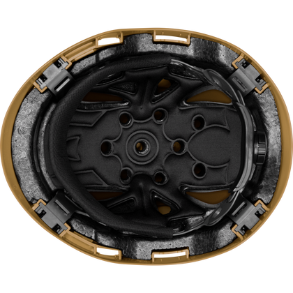 3975 | Raptor
