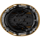 3975 | Raptor