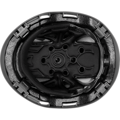 3976 | Raptor