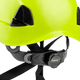 3976 | Raptor