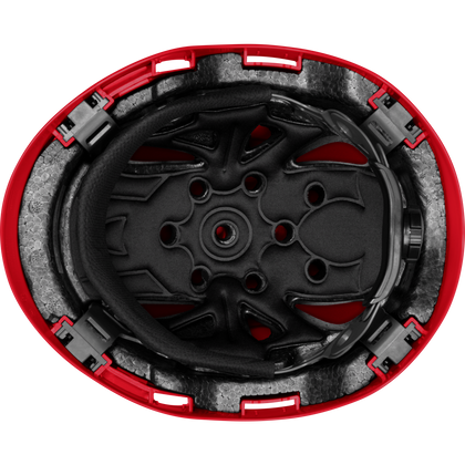 3975 | Raptor