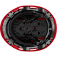 3975 | Raptor