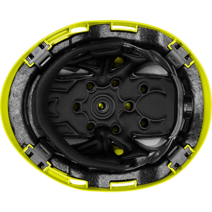 3976 | Raptor