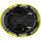 3976 | Raptor