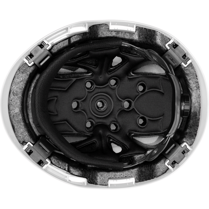 3976 | Raptor