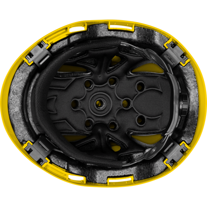 3975 | Raptor