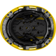 3975 | Raptor