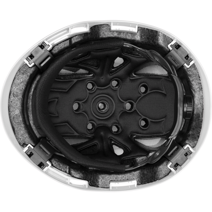 3976 | Raptor