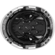 3976 | Raptor