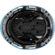 3976 | Raptor