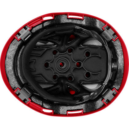 3976 | Raptor