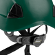 3976 | Raptor