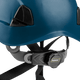 3976 | Raptor