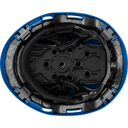 3975 | Raptor