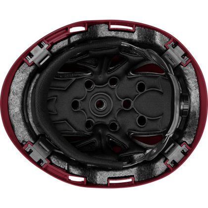 3975 | Raptor