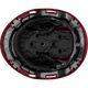 3975 | Raptor