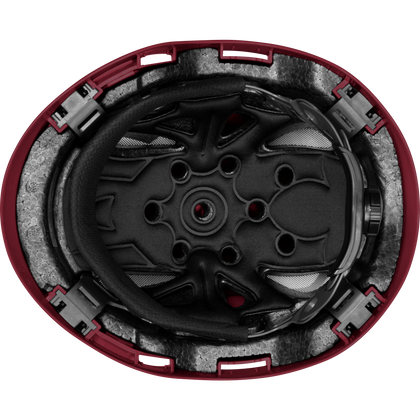 3976 | Raptor