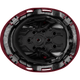 3976 | Raptor