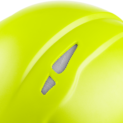 3976 | Raptor