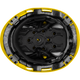 3976 | Raptor