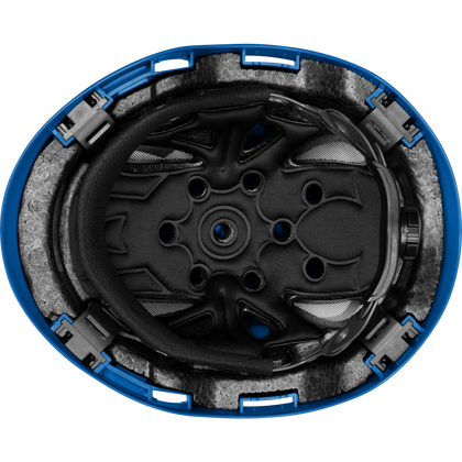3976 | Raptor
