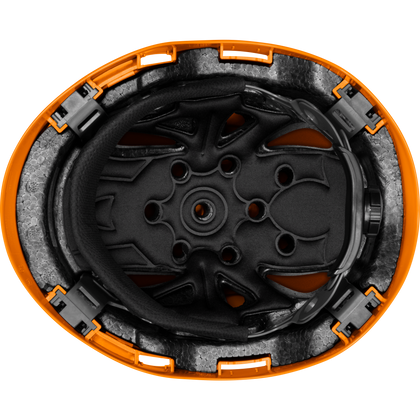 3975 | Raptor