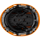 3975 | Raptor