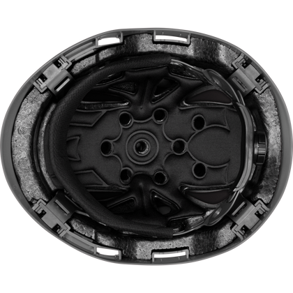 3975 | Raptor