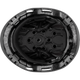 3975 | Raptor