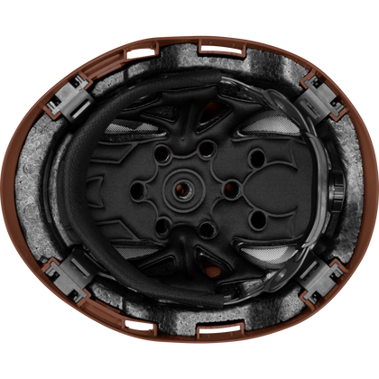 3976 | Raptor