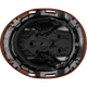 3976 | Raptor