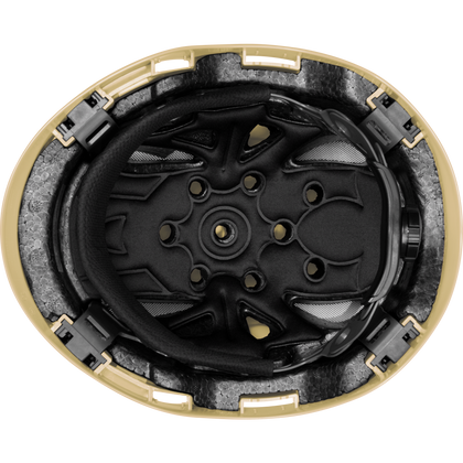 3976 | Raptor